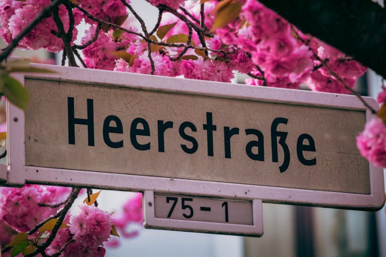 AltstadtFlohmarkt Bonn 2024 Kirschblüte Bonn Altstadt