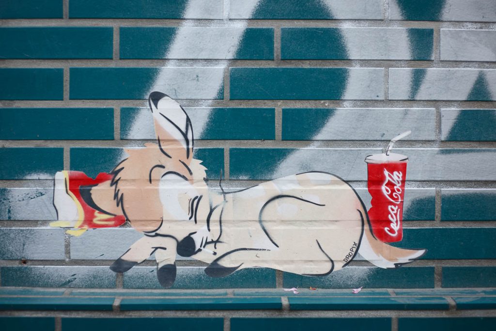 streetart-dropix-reh-graffiti-bonn-altstadt