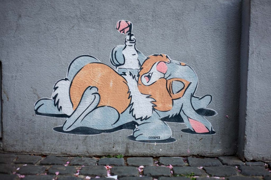 streetart-hase-dropix-graffiti-bonn-altstadt